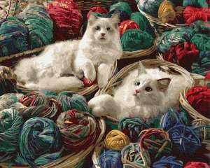 Котики в клубках