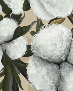 Бавовна © Yana Biluhina