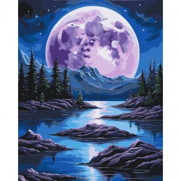Картина по номерам "Ночная магия" 11059-AC 40х50 см