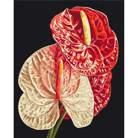 Картина по номерам "Антуриум" BS54136, 40х50 см