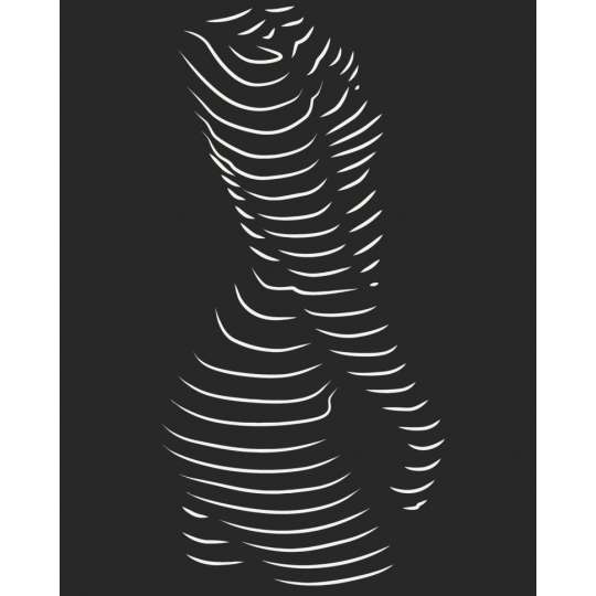 Картина по номерам "Обольстительный силуэт" 10117-AC 40х50 см