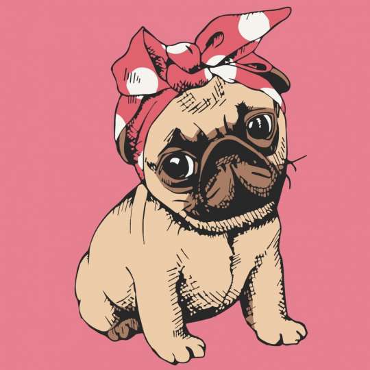 Картина по номерам "Мопсик" 15062-AC 30x30 см