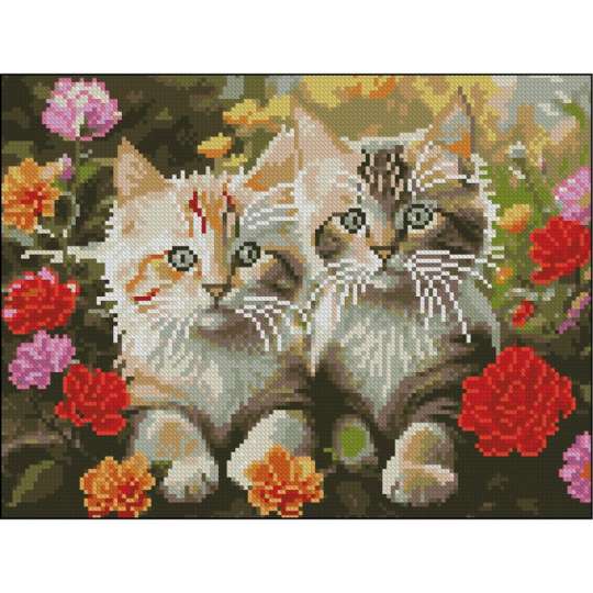 Шоколад з горішками та фруктами