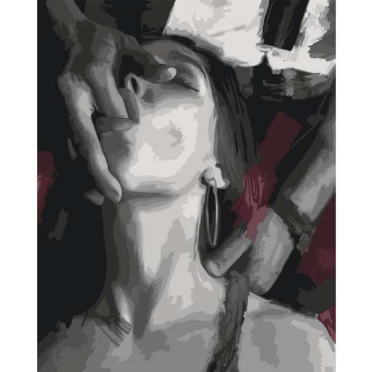 Картина по номерам "Вкус страсти" 10478-AC 40х50 см