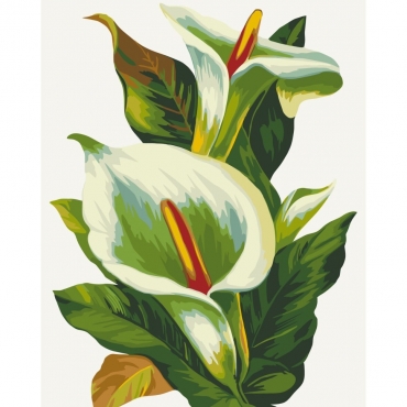 Картина по номерам "Белые каллы" 13128-AC 40х50 см