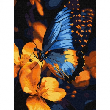 Картина по номерам "Мерцание крыльев" KHO6731, 30х40 см