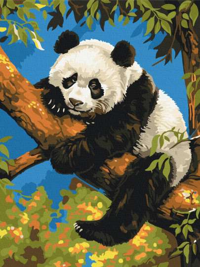 Лінива панда