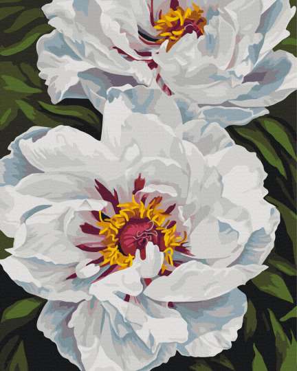 Біле сяйво © Анастасія Альохіна