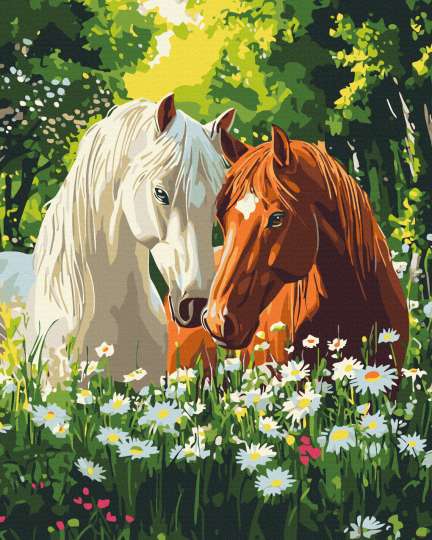 Тиша квітучих ранків