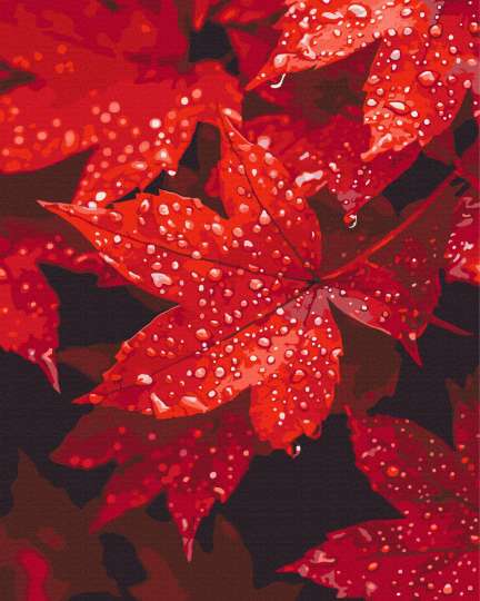 Осіннє серце в краплинах