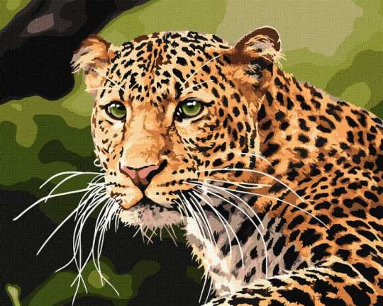 Картина по номерам - Зеленоглазый леопард Идейка 40х50 см (KHO4322)