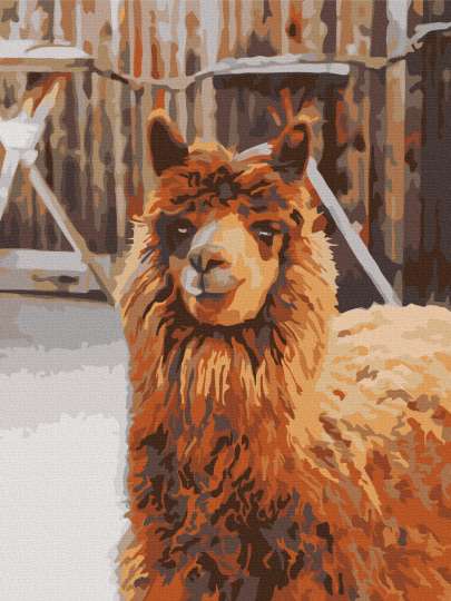 Лама на фермі