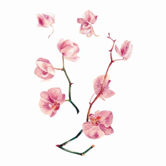 Временная татуировка "Орхидея", Рожевий, Pink