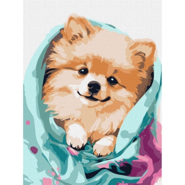 Картина по номерам "Счастливый шпиц" ©art_selena_ua KHO6545 30х40 см