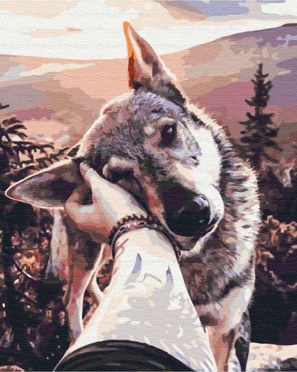 Друг вовк