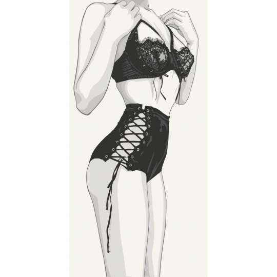 Картина по номерам "Откровенный лук" 10109-AC 40x80 см