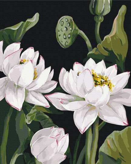 Розквіт натхнення 1