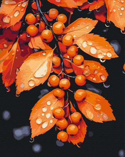 Мелодія крапель