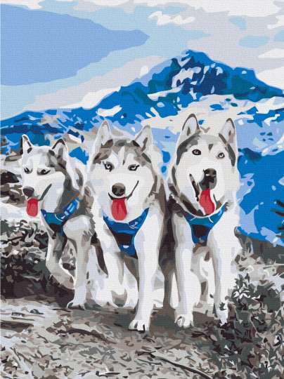 Друзі-хаскі