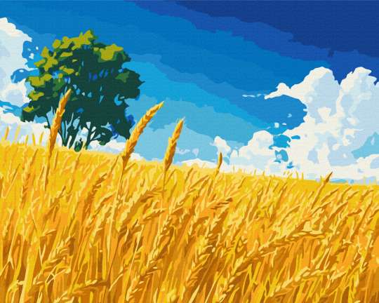 Поле золотих колосків