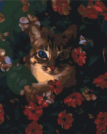 Котик в кущах