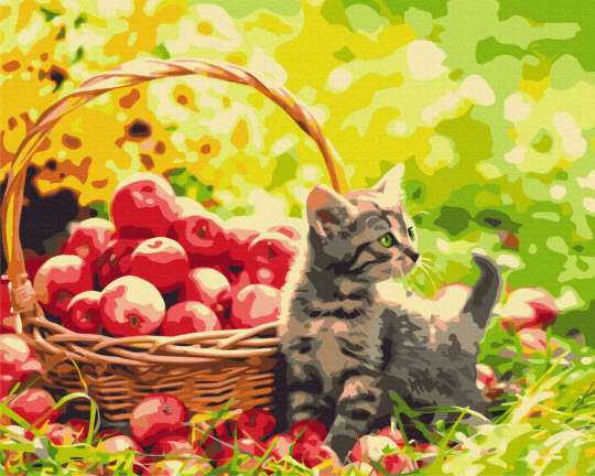 Яблучний котик