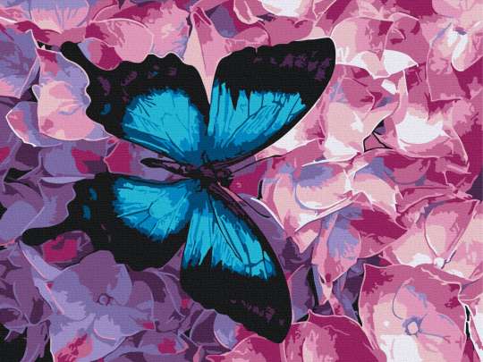 Метелик на квітах