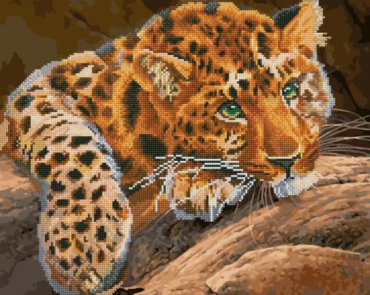 Зеленоокий леопард