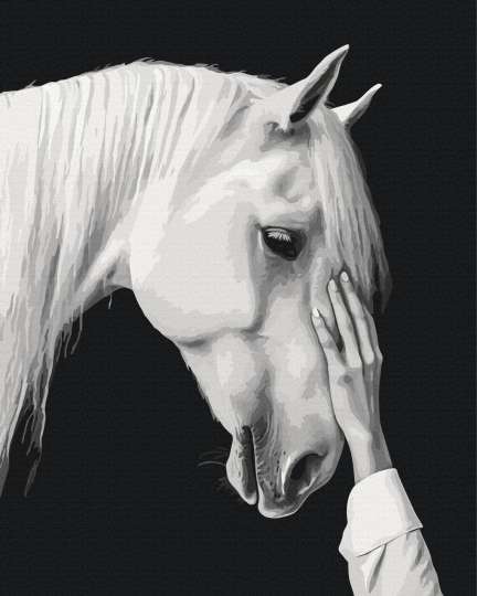 Білий міраж